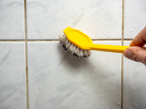 Best Affordable Mold Removal  in Elk Ridge, UT