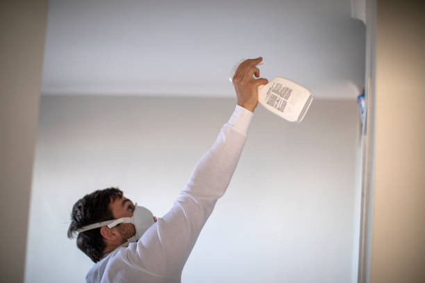 Best Mold Testing  in Elk Ridge, UT